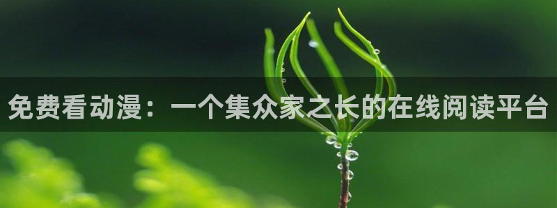 风车动漫(p)专注动漫的