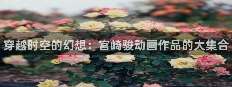 风车动漫应用下载