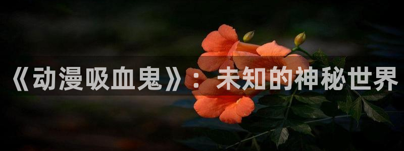 想要成为影之实力者风车动漫