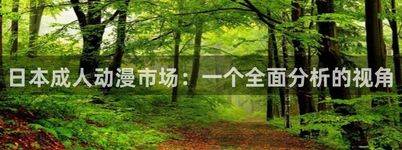 风车动漫的网站