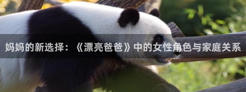 风车动漫免费观看在线播放