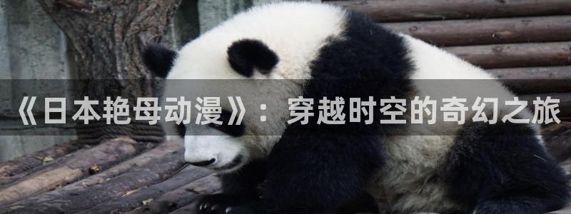 风车动漫在线观看免费资源