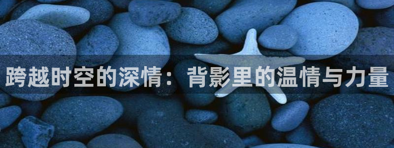 风车动漫正版官网入口